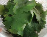 عکس مرحله 4 از دستور دلمه ی برگ انگور 98