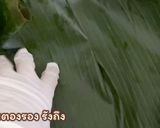 รูปขั้นตอนการทำที่ 6 ของ สาคูไส้หมู