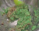Foto del paso 4 de la receta: Pistacho salad / Ensalada de pistache