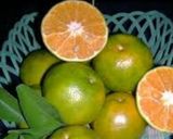 Foto langkah ke 1 dari resep Es Jeruk Kelapa Muda 😋😘.