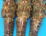Foto langkah ke 2 dari resep Lobster Asam manis Mantul.