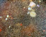 Foto langkah ke 7 dari resep Sup ikan pedas ala hotpot.