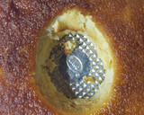 Foto del paso 3 de la receta: Budín de pan a lo Marta