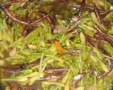 Foto langkah ke 3 dari resep Tumis Teri Bunga Pepaya.