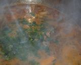 Foto del paso 4 de la receta: Guisito de lenteja pal frío  😊