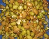 मिक्स वेज फ्राई (Mix veg fry recipe in hindi) रेसिपी चरण 4 फोटो