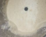 A picture of step 3 of Oats suji veggie Chilla.