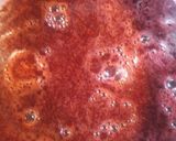 A picture of step 6 of Blackberry Dumplings.
