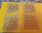 Foto del paso 2 de la receta: Crujientes especiados de pasta wonton