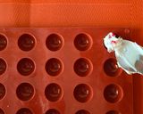A picture of step 3 of Pomegranate Mosambi Frozen Yoghurt Bites.