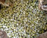 ફણગાવેલા મગ નું સલાડ (Sprouted Mag Salad Recipe In Gujarati) રેસીપી સ્ટેપ2ફોટો