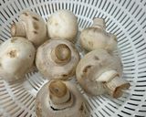 Hình bước làm 2 của món Nui nơ sốt kem nấm