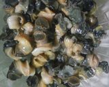 Foto langkah ke 1 dari resep 01. Pokcoy tutut saus tiram #dirumahaja.
