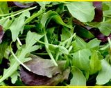 Foto del paso 1 de la receta: Ensalada La Huerta de Olot (Mercado magnífico donde encontrar variedades ecológicas deliciosas