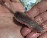 Foto del paso 3 de la receta Boquerones en vinagre