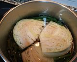 Foto del paso 2 de la receta: Bullit Valencià (Hervido Valenciano)