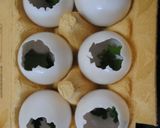 A picture of step 5 of EasterBake Jelly eggs.