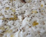 Une image de l'étape 2 de Focaccia aux anchois.