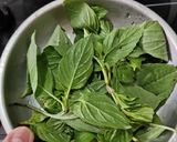 A picture of step 2 of Basil Pumpkin.