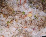 A picture of step 5 of Chicken fried rice with chicken kabab.