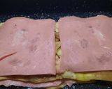 Foto del paso 4 de la receta: Láminas de berenjenas con quesos, jamón y salsa (para congelar)