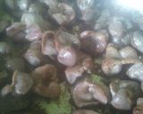 A picture of step 2 of Gizzards #gizzardcontest.