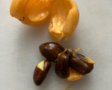 Foto del paso 2 de la receta: Mermelada de nísperos con canela, endulzada con eritritol