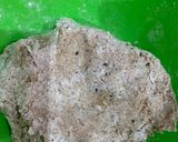 Foto del paso 1 de la receta: Pan integral con semillas