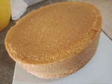 Vanilla Sponge Cake