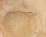 Foto del paso 4 de la receta: Masitas de harina integral sin huevo