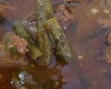 A picture of step 5 of Bhindi gosht salan (Lady finger, Okra).