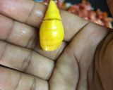 Foto del paso 5 de la receta: Bishate a la mexicana