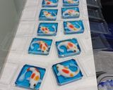 Foto langkah ke 5 dari resep Puding Ikan Koi.