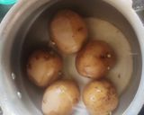 ચીઝ પોટેટો બોલસ (Cheese Potato Boll Recipe In Gujarati) રેસીપી સ્ટેપ1ફોટો