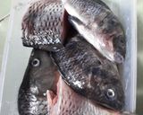 Foto langkah ke 1 dari resep Ikan nila goreng sambal jahe kecap.
