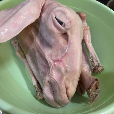 Langkah 1
