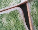 A picture of step 1 of Grilled sandwich.