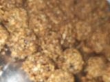 فيروروشي
