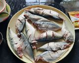 A picture of step 3 of Surmai and bangda fried fish.