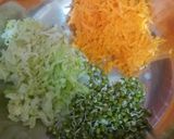 A picture of step 1 of Vegan Spring roll.