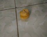 Foto langkah ke 5 dari resep Roti Maryam Berserat.