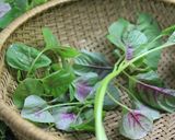 Hình bước làm 2 của món Canh rau dền mồng tơi cá hồi