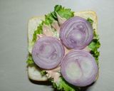 A picture of step 8 of Sandwich.