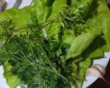 Foto del paso 2 de la receta: Salpicón de pollo y verduras