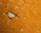પનીર પસંદા (Paneer Pasanda Recipe In Gujarati) રેસીપી સ્ટેપ11ફોટો