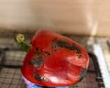 A picture of step 2 of Muhammara.