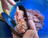 Foto del passaggio 7 della ricetta Cozze ripiene