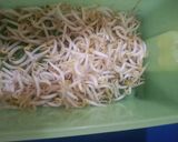 Foto langkah ke 1 dari resep Bakwan ala luvita ho.