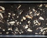 બ્રાઉની (Brownie Recipe In Gujarati) રેસીપી સ્ટેપ6ફોટો