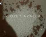 Foto langkah ke 2 dari resep Rosebud Steamed Buns ala Violet Azalea.
